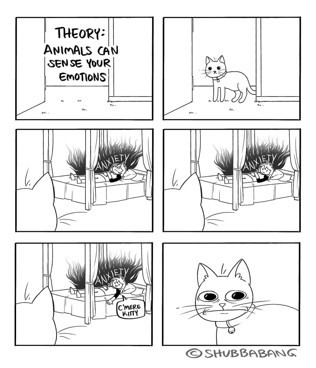 theory.jpg