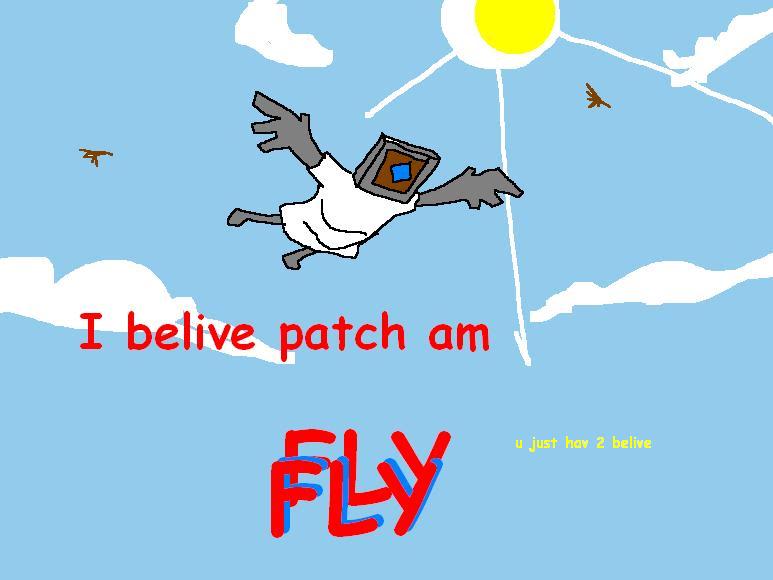 THEPATCHFLIES.jpg