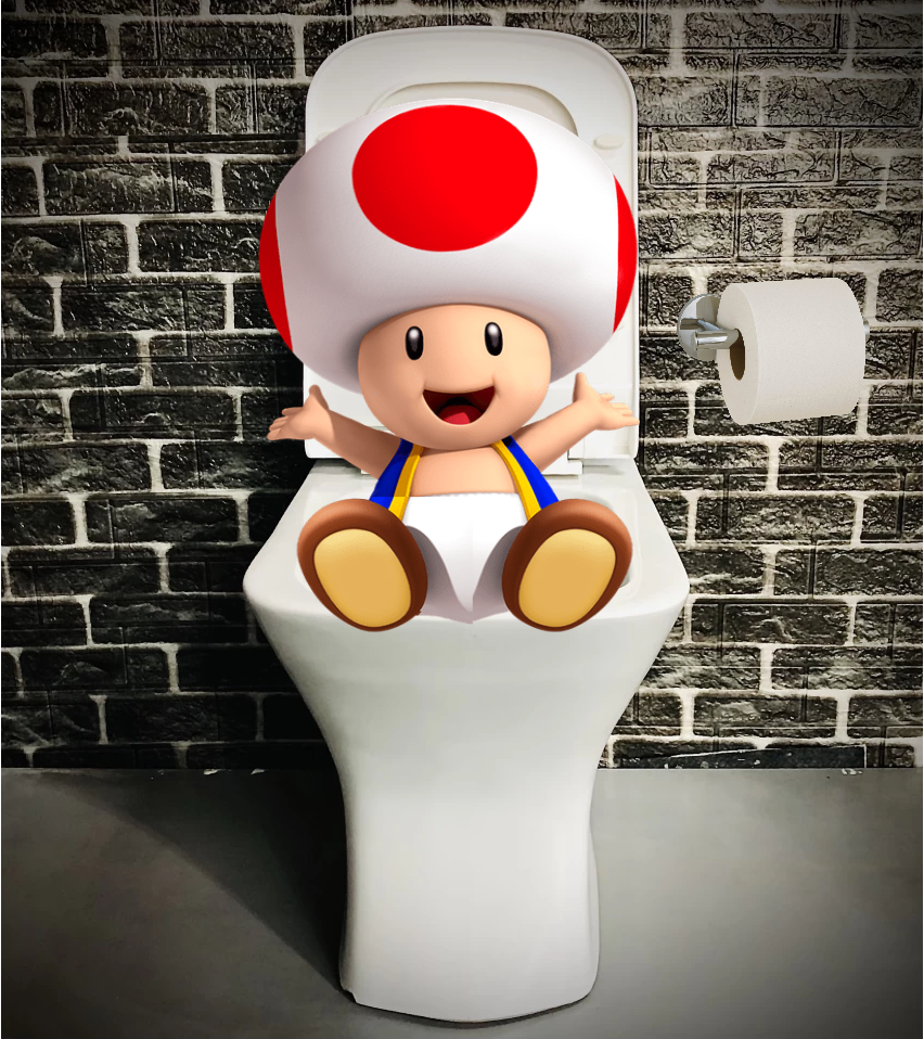 ToadOnTheCommode.png