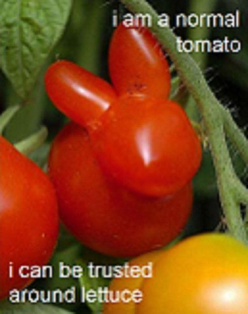 tomato.jpg