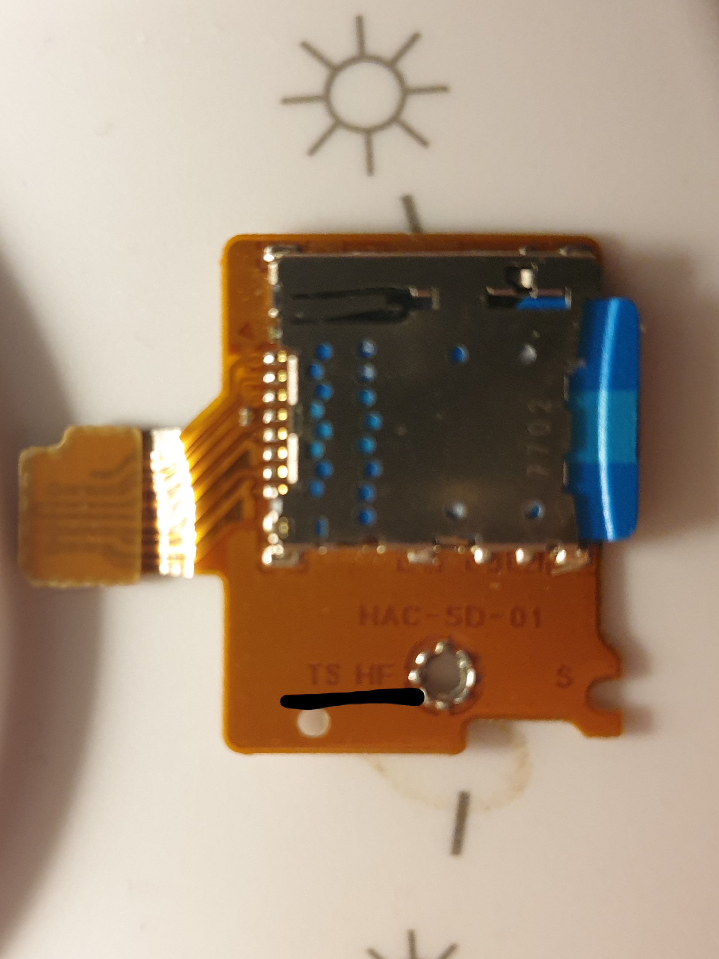 TS HF.jpg