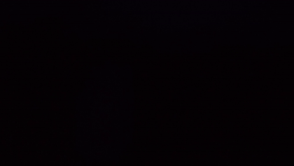 TTGL-boot_logo.gif