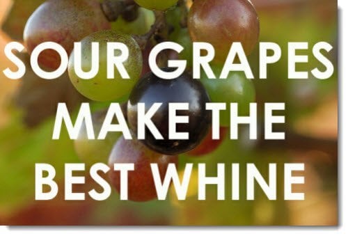 tumblr_static_sour-grapes-make-the-best-whine[1].jpg