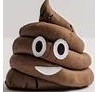 turd2.jpg