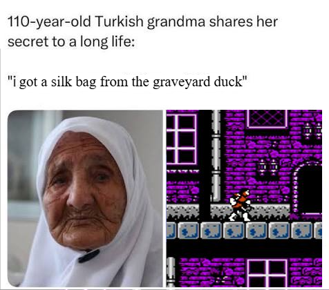 turkish-duck.png