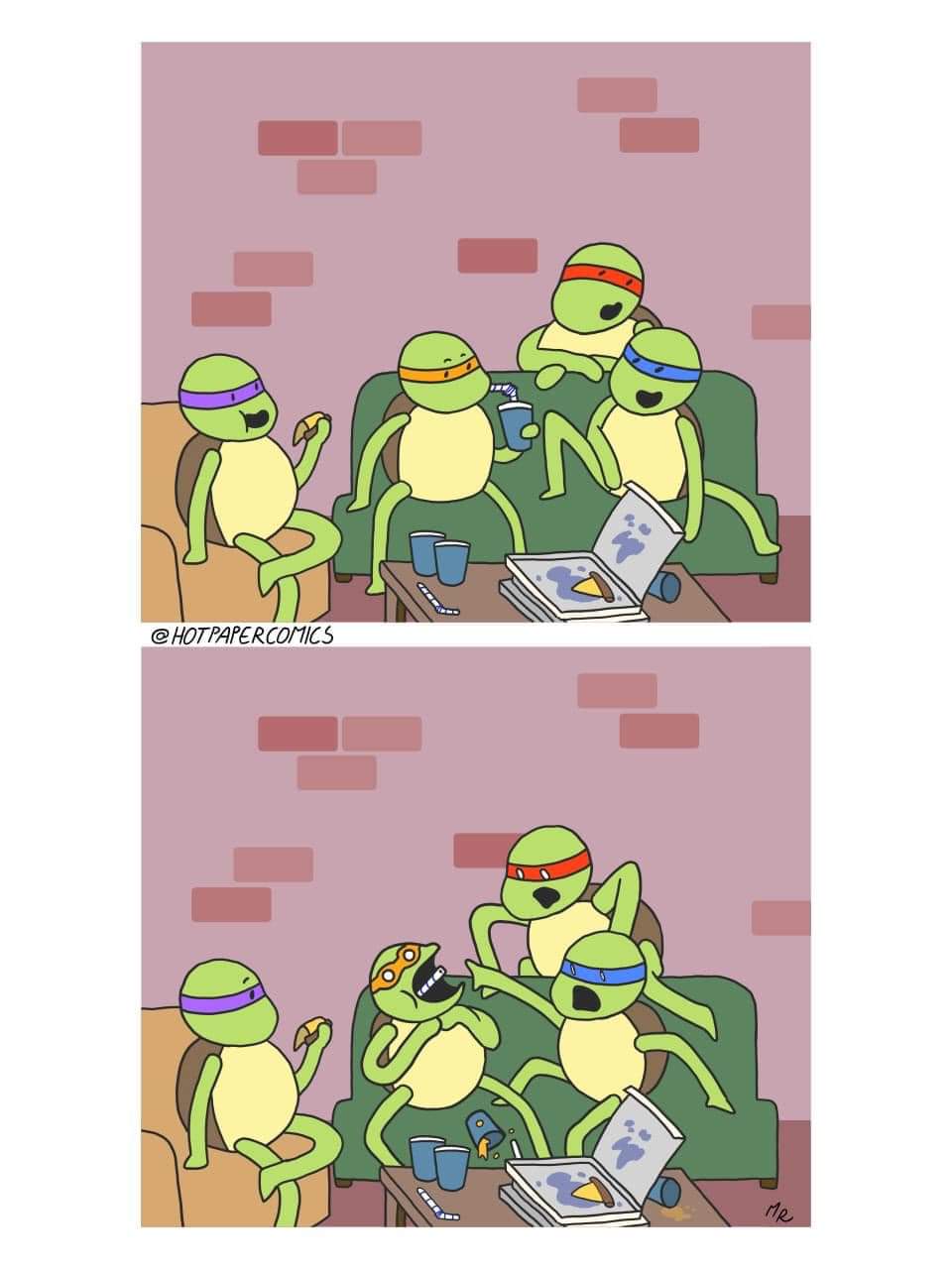 turtle.jpg