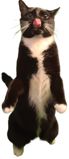 tuxyyy.png
