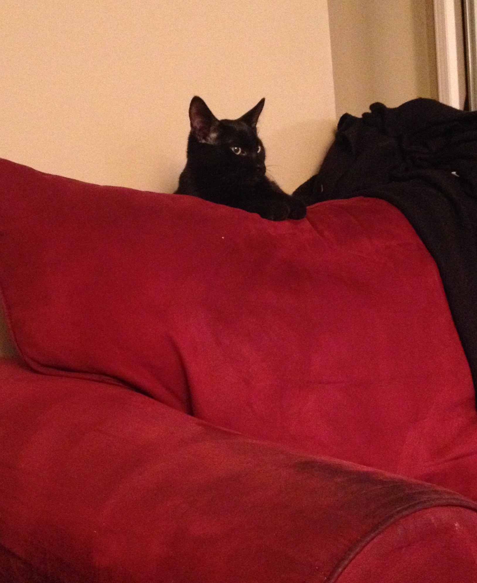 tvwatching.jpg