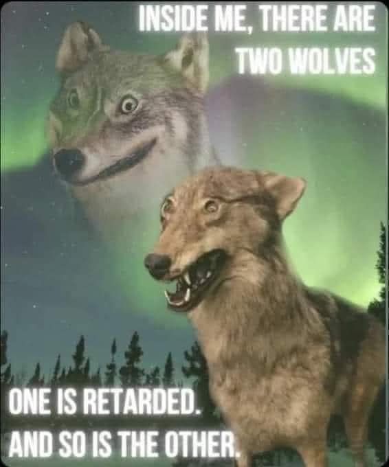 two-wolves.jpg