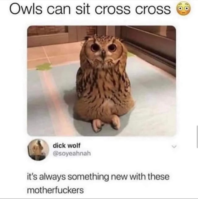 uCOsUiS.jpg