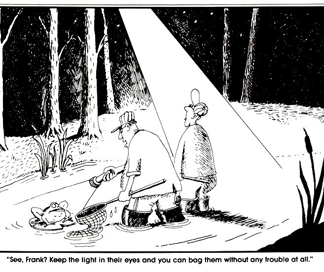 UFO.jpg