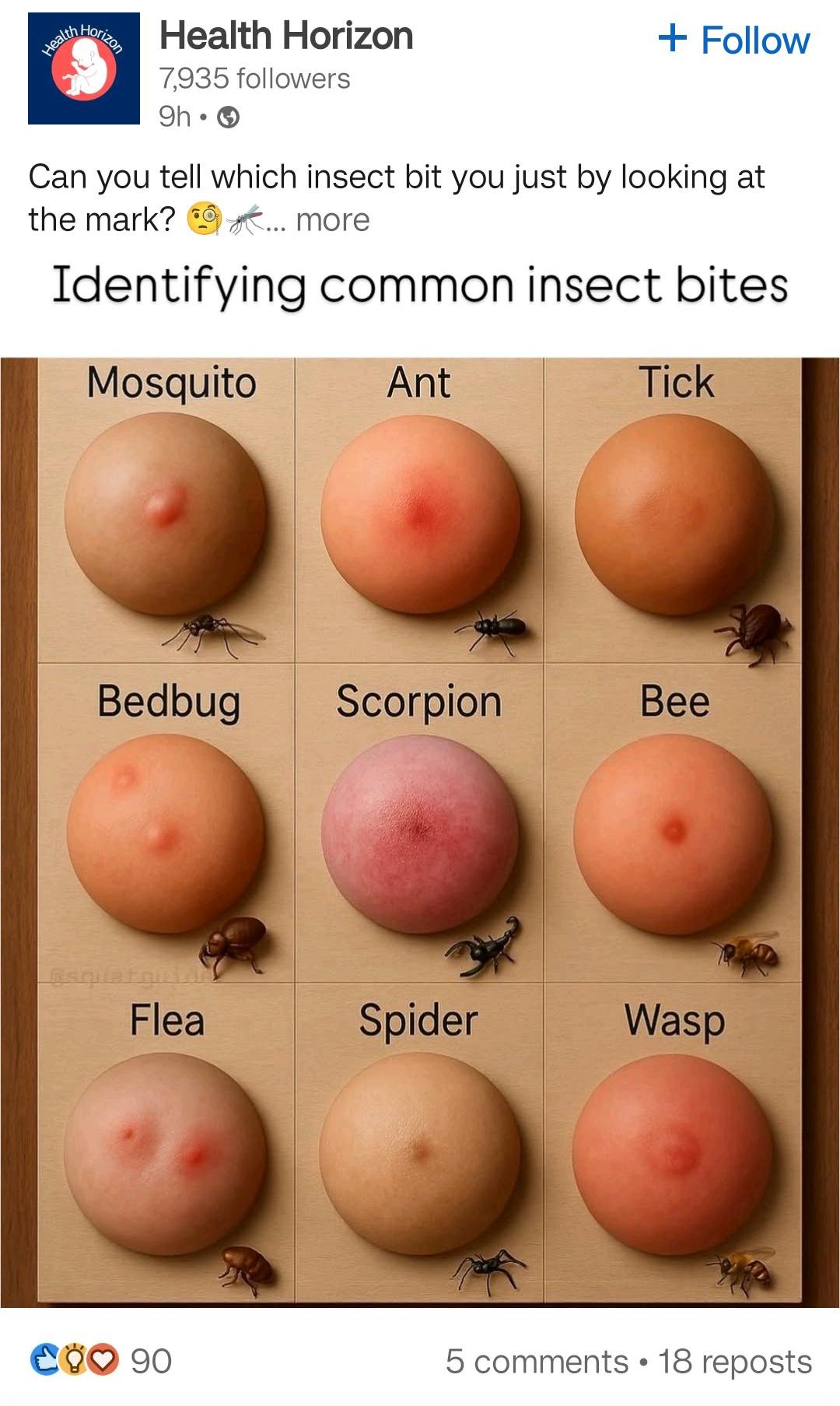 ug7vavr1p69f1.jpeg