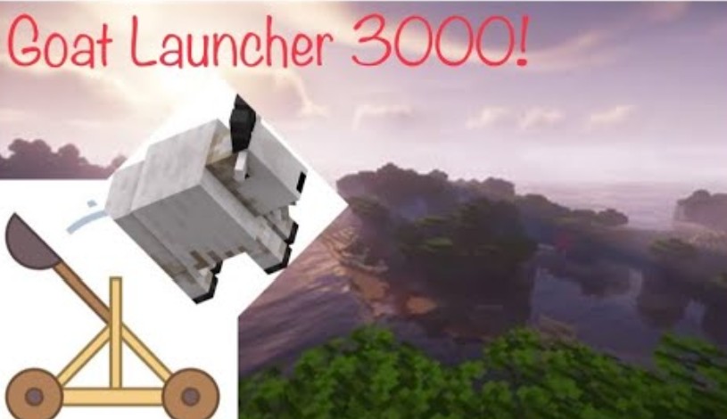 uh.jpg