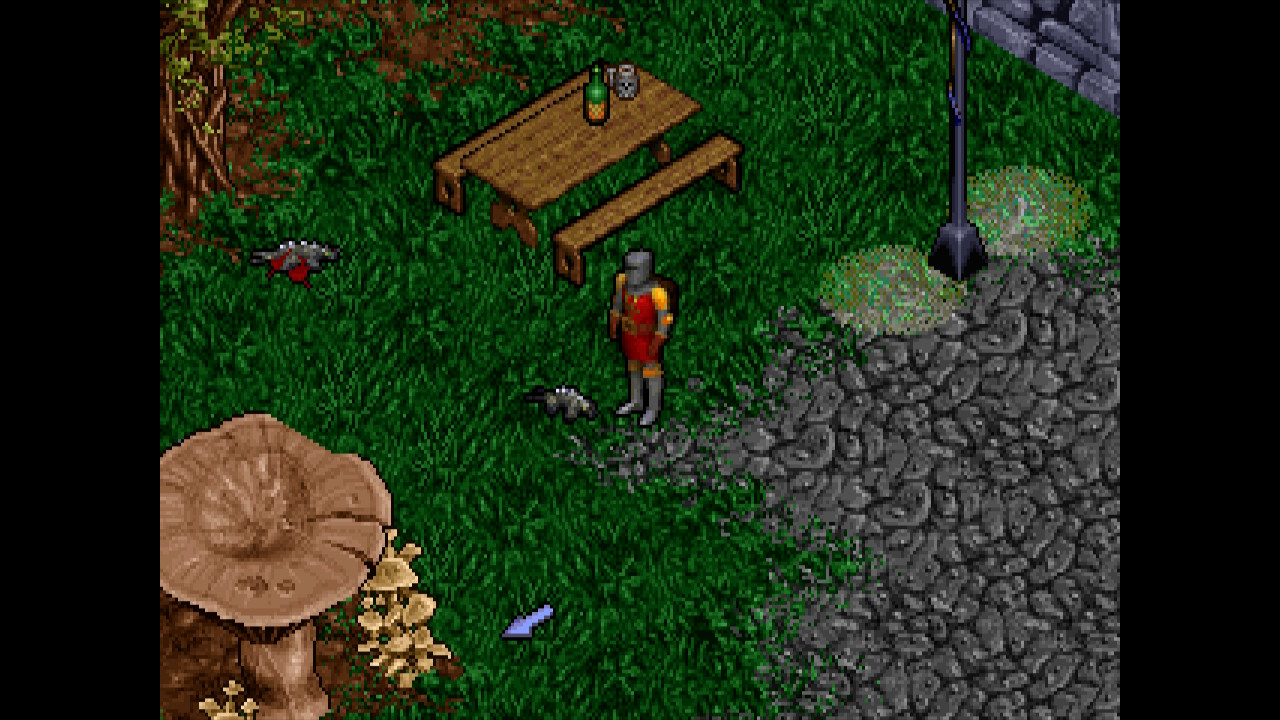 ultima8.jpg