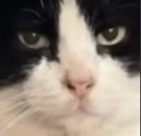 unimpressed.jpg