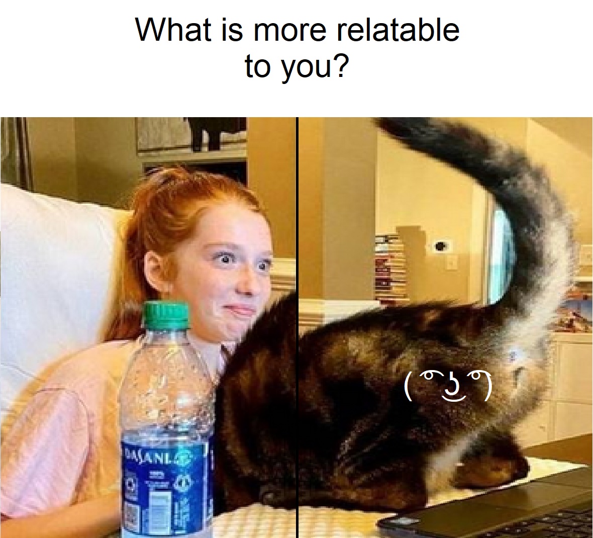 Untitled.jpg
