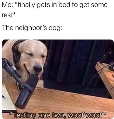 Untitled.png