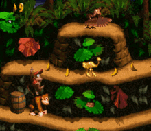 video-games-dkc.gif