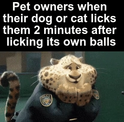 videoframe_10376.png
