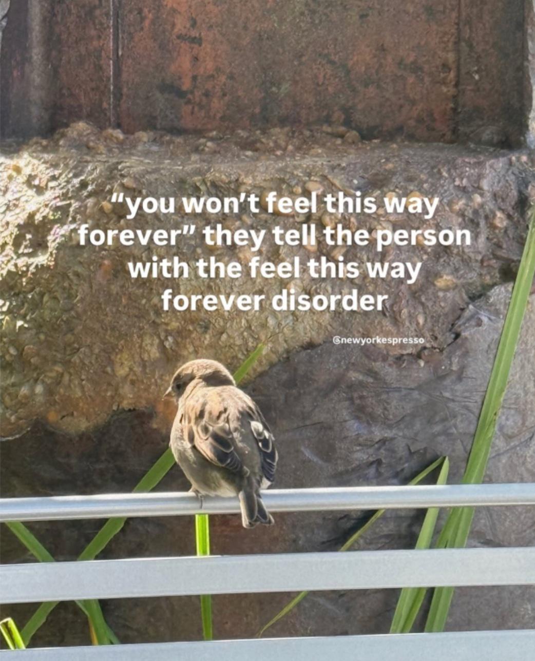 vufmwfx6thbg1.jpeg