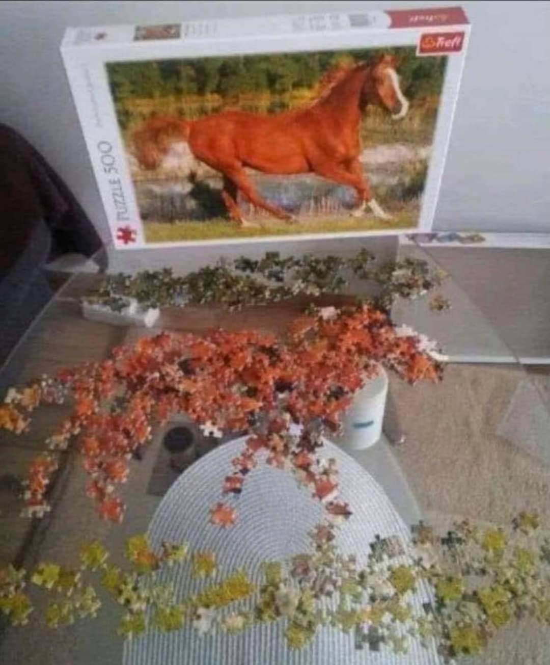 vXDVnyH.jpeg