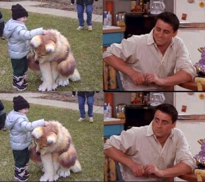 VXn73ug.jpg