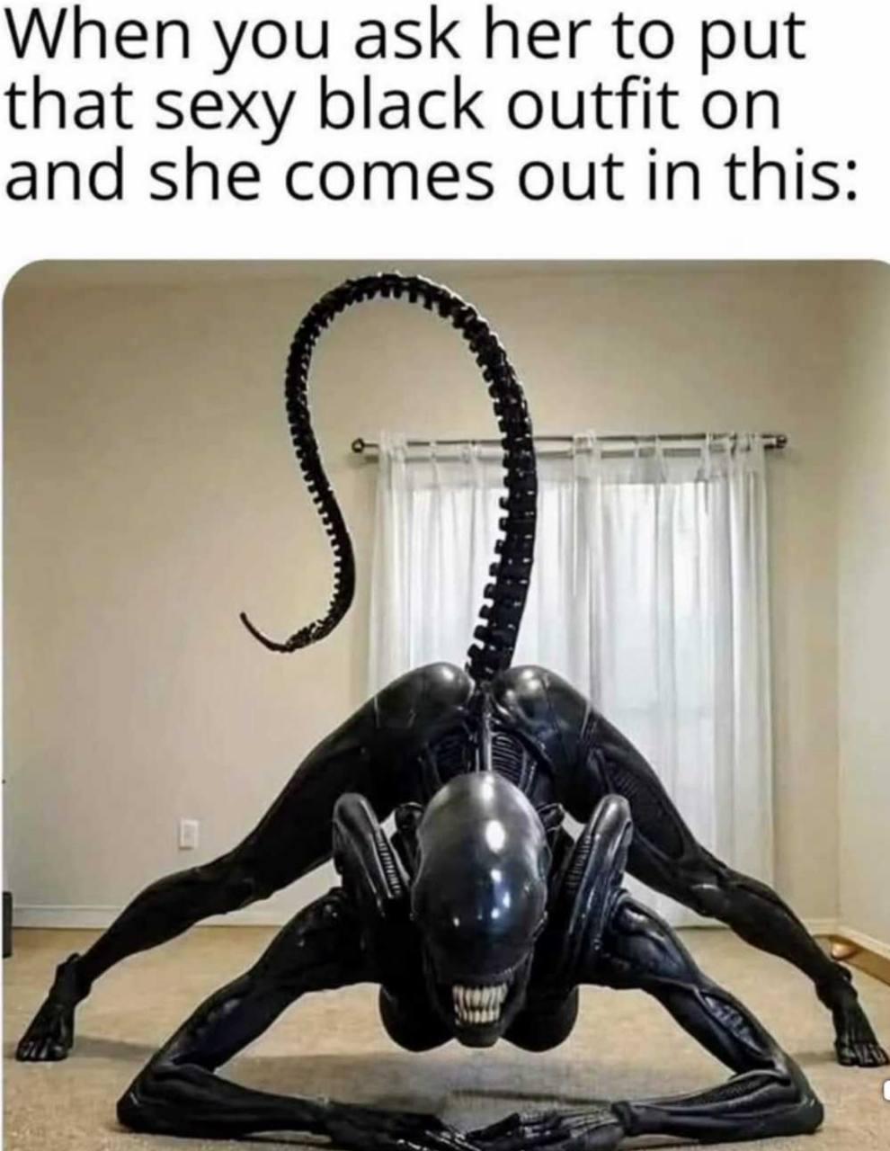 w829t4t4obue1.jpeg