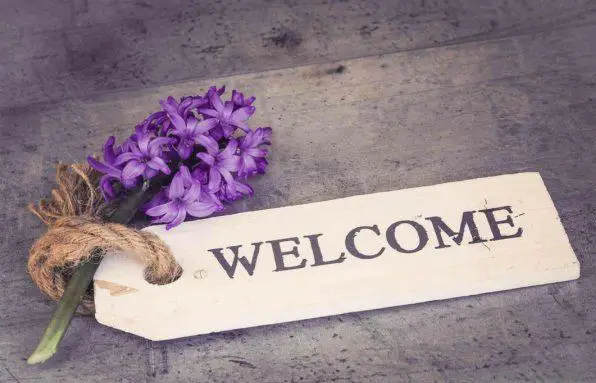 welcome.png