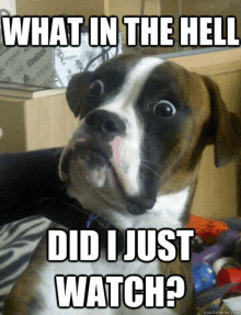 whatthehell-wth.gif