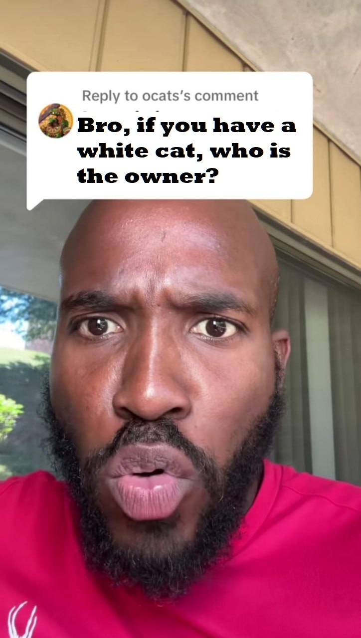 white.jpg