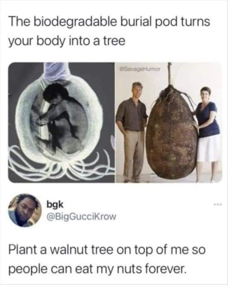 wMnUdcC.jpg