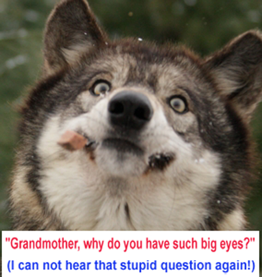wolf.jpg