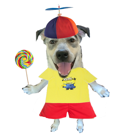 woscoe.png
