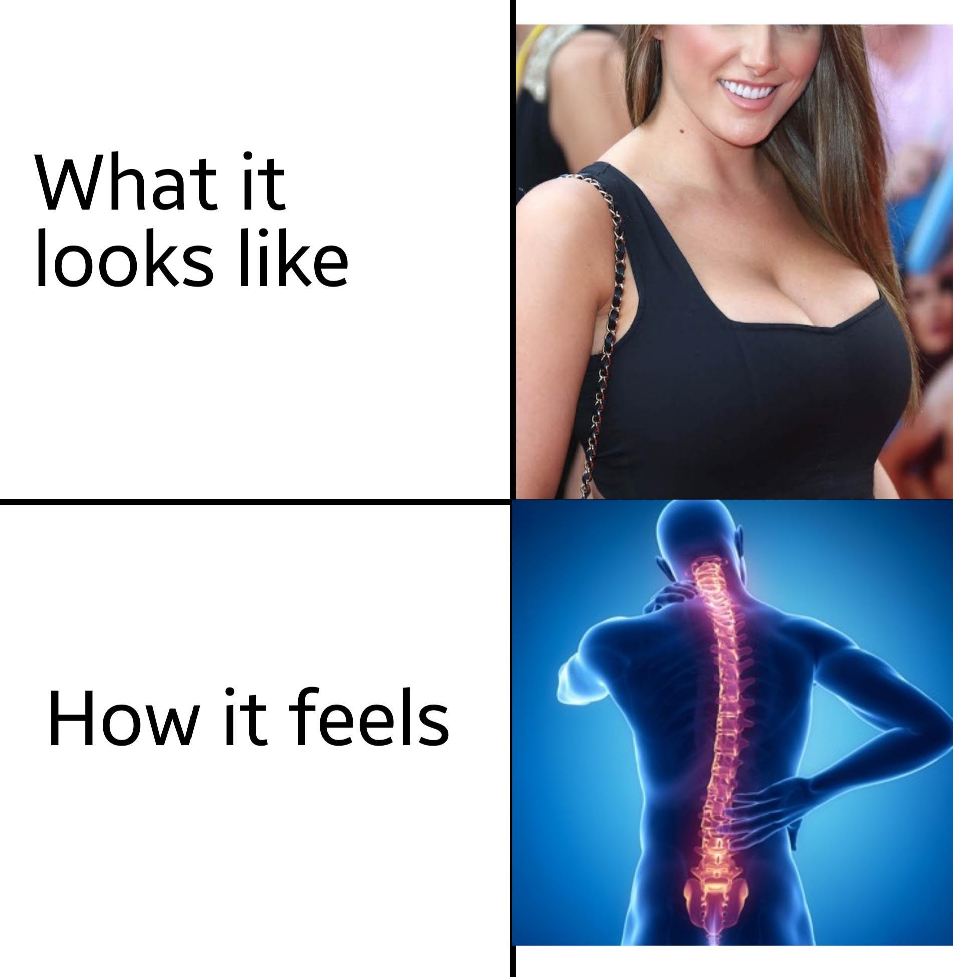x4jo9bqdzome1.jpeg