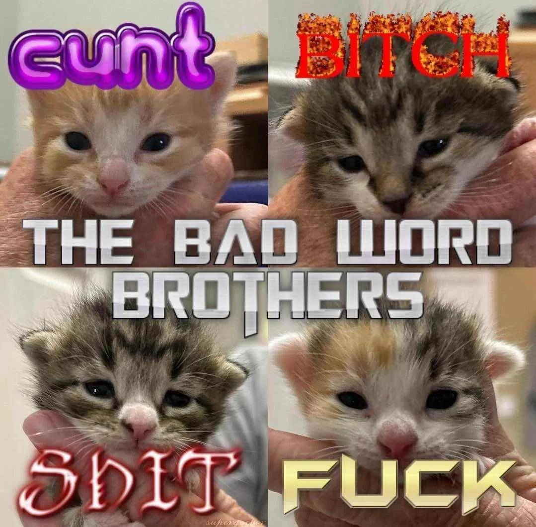 xhws9hw.png