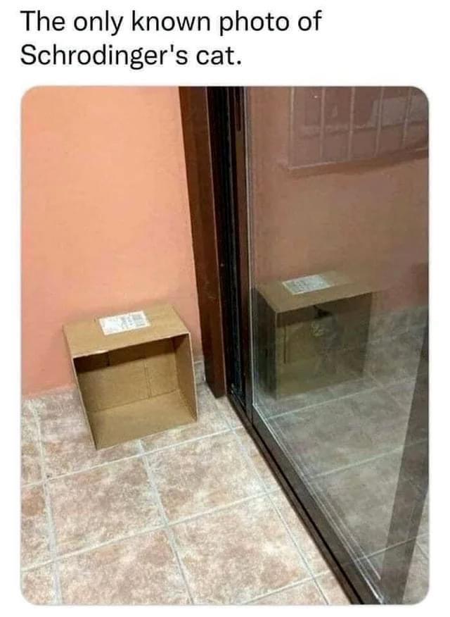 xydxcY3.jpg