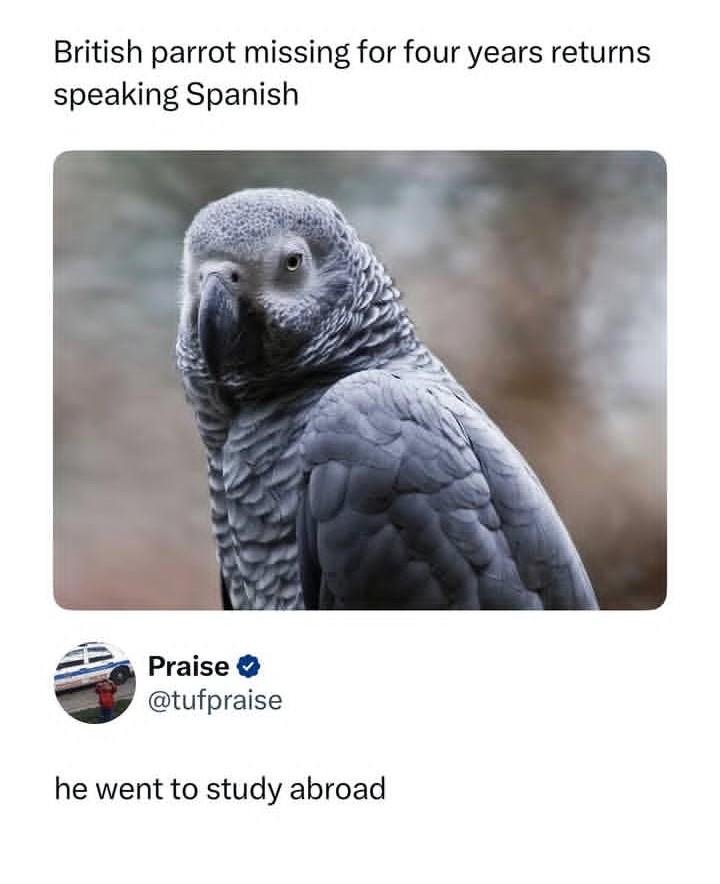 y0macwzqdc2h1.jpeg