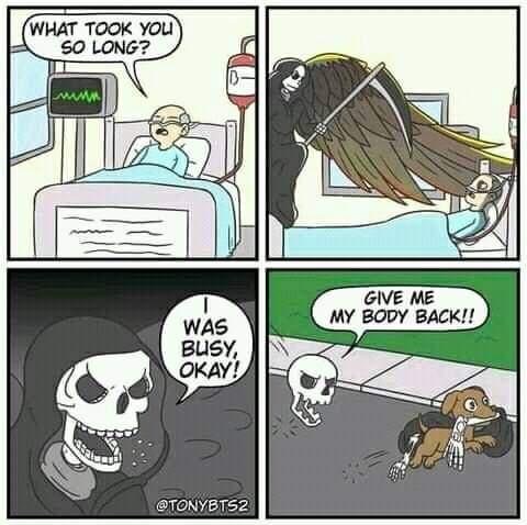 yMMcRor.jpeg