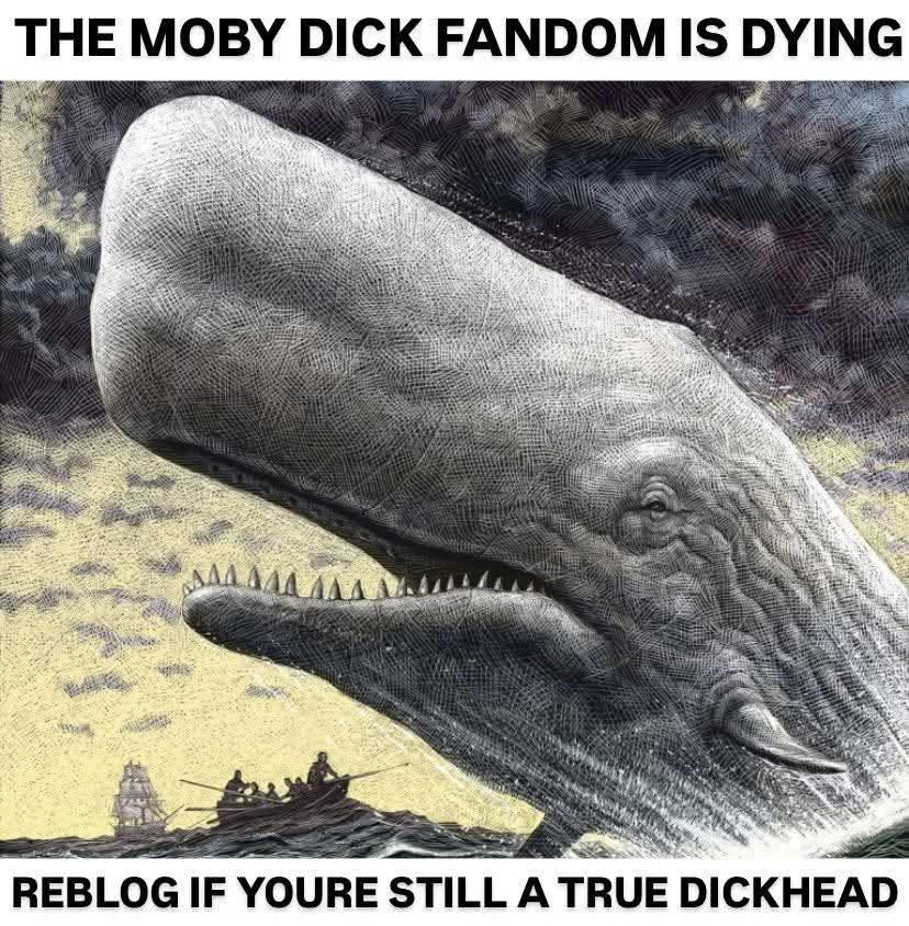 yodikead.png