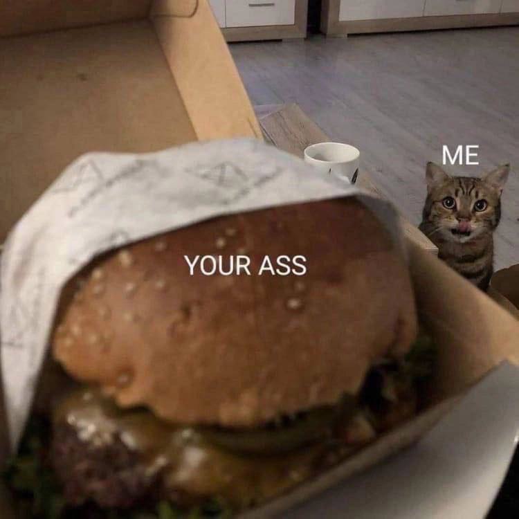 yourass.jpg