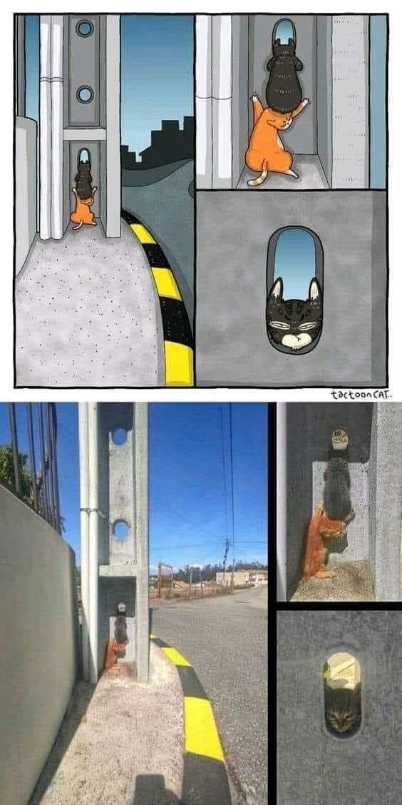 zjXLSAa.jpeg