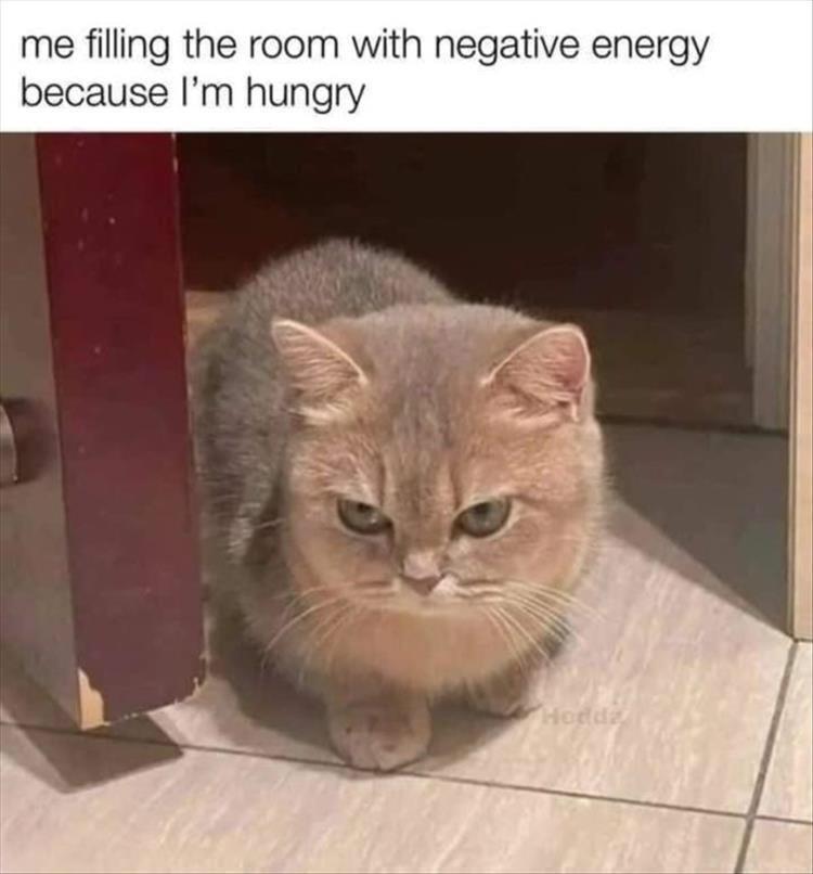 ZzKWeg9.jpeg