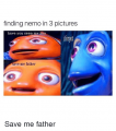 finding-nemo-in-3-pictures-have-you-seen-my-son-6856322.png