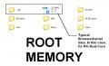 root memory.JPG