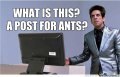 are-ants-supposed-to-read-this_o_1610917.jpg