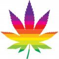 Pride Cannabis Leaf.jpg