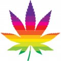 Pride Cannabis Leaf.jpg