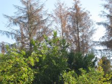 Good weather – Rant with a lot of pictures (9MB)