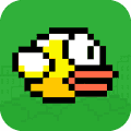 Flappy Pic.png