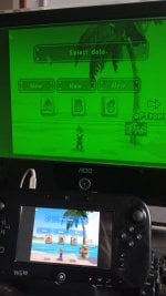 Nintendont Wii U Green Screen Error   - The Independent Video  Game Community